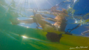 Snorkayak transparent